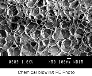 化学発泡PEセル写真