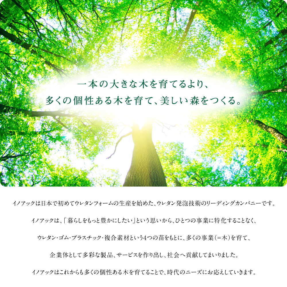 一本の大きな木を育てるより、多くの個性ある木を育て、美しい森をつくる。