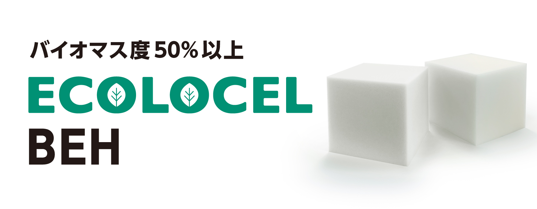 ecolocel_リリース_210713+_1.jpg